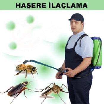 Yenifoça Böcek İlaçlama
